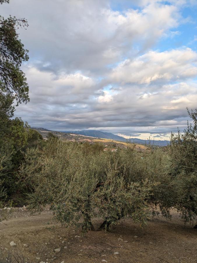 One Life Malaga Retreat 호텔 페리아나 외부 사진